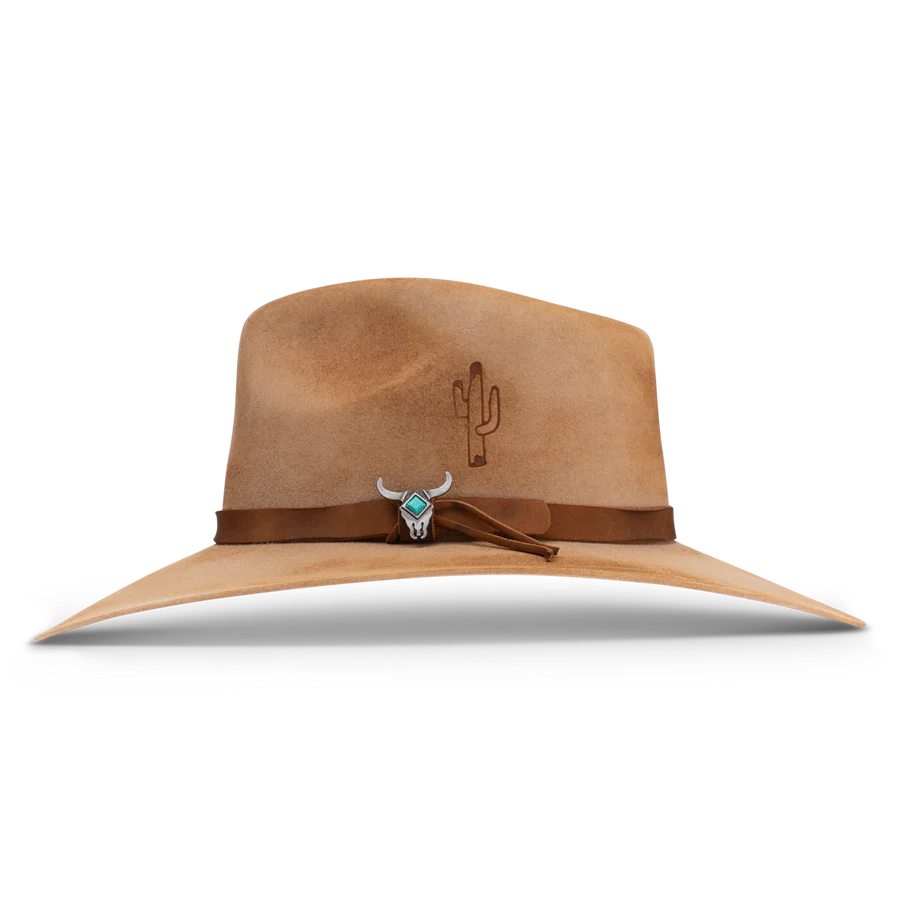 Charlie 1 Horse Lakota