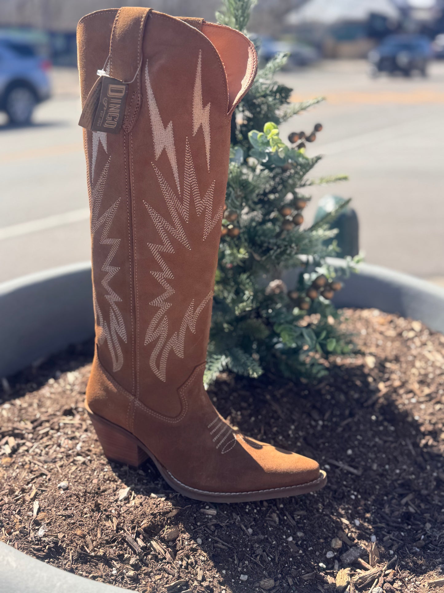 Dingo Thunder Road boot