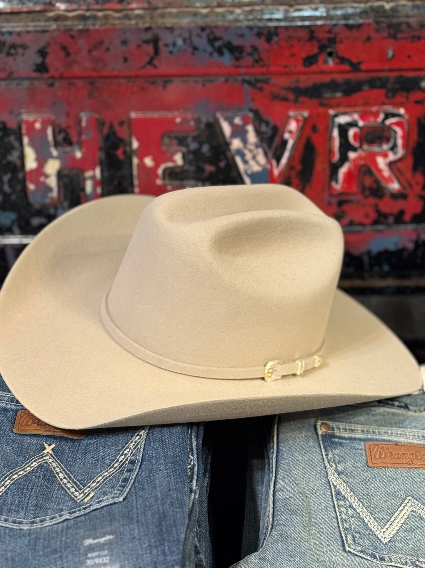 Stetson Adelante - silver belly